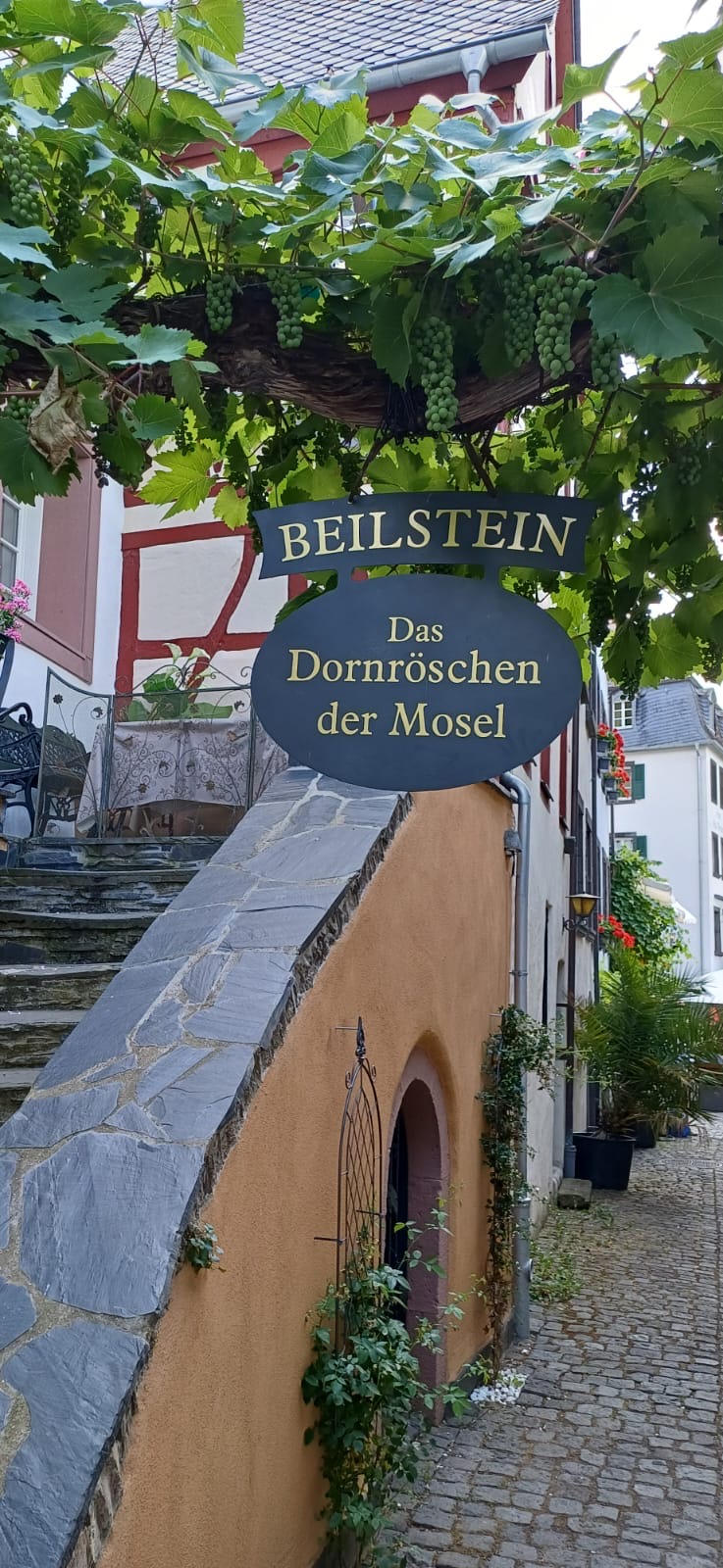 Beilstein 2